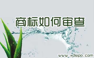 商標駁回復審時，審查員審查的考慮因素參考