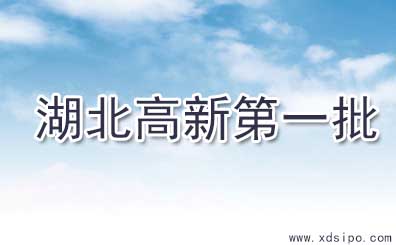 湖北省2016年第一批擬認定高新技術企業名單 湖北省2016年第一批擬認定高新技術企業名單