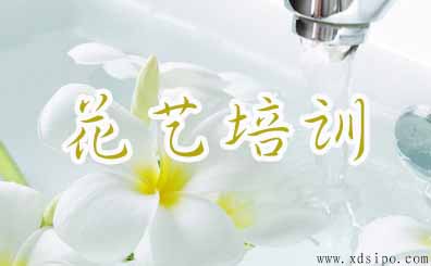 花藝培訓(xùn)注冊(cè)商標(biāo)如何選類別 花藝培訓(xùn)注冊(cè)商標(biāo)如何選類別