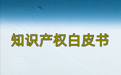 上海市知識(shí)產(chǎn)權(quán)聯(lián)席會(huì)議辦公室指導(dǎo)長(zhǎng)三角示范區(qū)編制知識(shí)產(chǎn)權(quán)白皮書 上海市知識(shí)產(chǎn)權(quán)聯(lián)席會(huì)議辦公室指導(dǎo)長(zhǎng)三角示范區(qū)編制知識(shí)產(chǎn)權(quán)白皮書