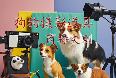 寵物攝影道具注冊商標(biāo)如何選擇分類？