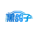 黑鴿子
HEYDOVES商標(biāo)轉(zhuǎn)讓/購(gòu)買(mǎi)