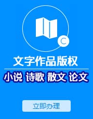 文字著作權(quán)著作權(quán)登記申請(qǐng)(文字版權(quán)登記申請(qǐng))